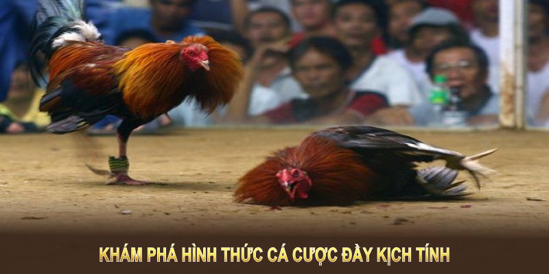 Khám phá hình thức cá cược đầy kịch tính và cơ hội lớn