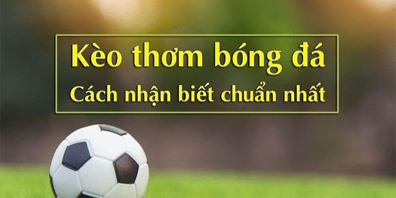 Cách nhận biết cơ hội ngon ăn khi cá cược bóng đá